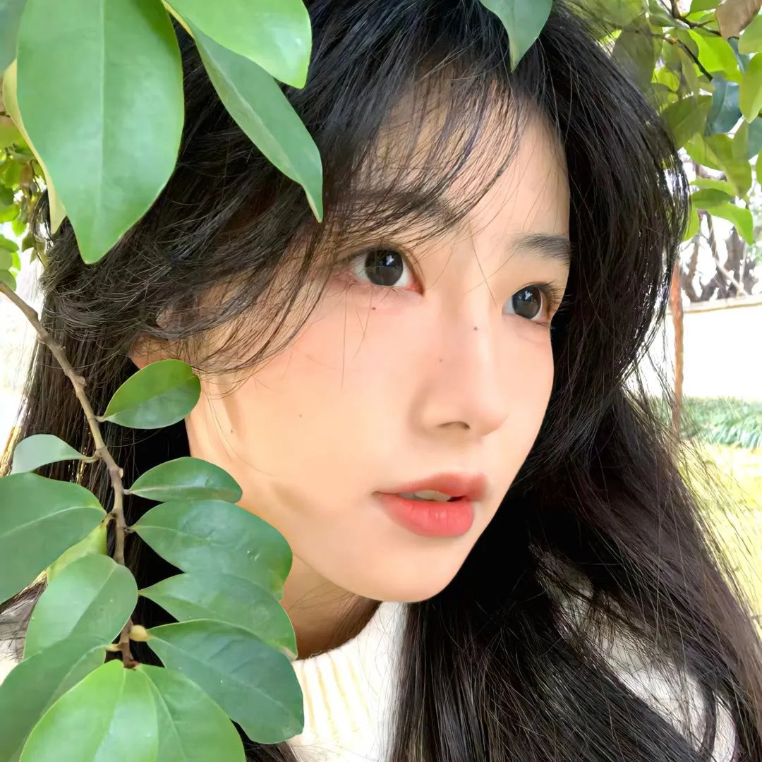 狐妖小红娘月红篇