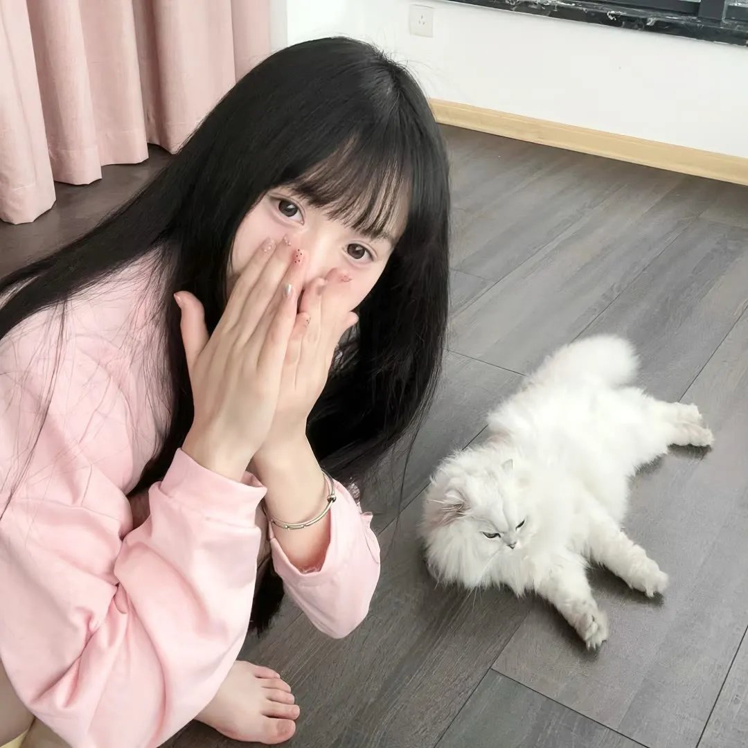 忍冬玫瑰